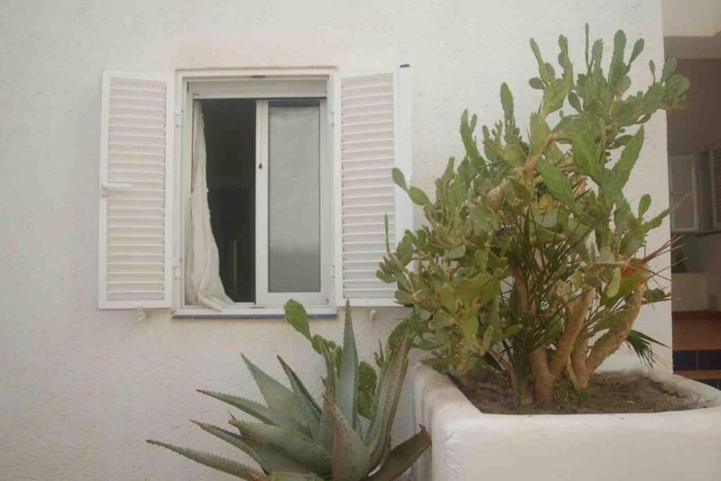 Apartamento A 2 Minutos Andando A La Playa. La Isleta del Moro Exterior photo